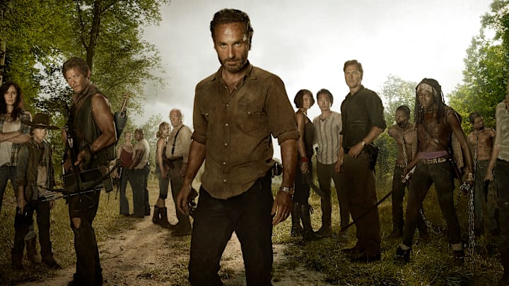 (L to R) Lori Grimes (Sarah Wayne Callies); Carl Grimes (Chandler Riggs); Daryl Dixon (Norman Reedus); Carol (Melissa Suzanne McBride); T-Dog (Robert 'IronE' Singleton); Beth Greene (Emily Kinney); Hershel Greene (Scott Wilson); Rick Grimes (Andrew Lincoln); Maggie Greene (Lauren Cohan); Glenn (Steven Yeun); The Governor (David Morrissey); Michonne (Danai Gurira) and Andrea (Laurie Holden) - The Walking Dead - Season 3, Gallery - Photo Credit: Frank Ockenfels/AMC