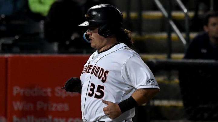 Shorebirds' Creed Willems (35) runs home against the Cannon Ballers Tuesday, April 11, 2023, at Perdue Stadium in Salisbury, Maryland. The Shorebirds defeated the Cannon Ballers 7-2.

Bbm Delmarva Shorebirds Kannapolis Cannon Ballers
