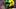 Oregon Ducks Boise State Dante Moore Oregon football College Football Playoff Autzen Stadium Pac-12 betting odds Oregon Ducks Boise State Dante Moore Oregon football College Football Playoff Autzen Stadium Pac-12 betting odds