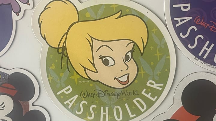 An assortment of Disney AP magnets
