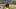 Pittsburgh Steelers cornerback Joey Porter Jr.