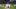 Green Bay Packers quarterback Clayton Tune (6) leaves the field after their game Sunday, January 4, 2026 at U.S. Bank Stadium