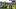 oregon ducks football savannah bananas ball autzen stadium eugene jesse cole mascot green jerseys 
