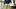 Mississippi Rebels head coach Pete Golding Mississippi Rebels head coach Pete Golding