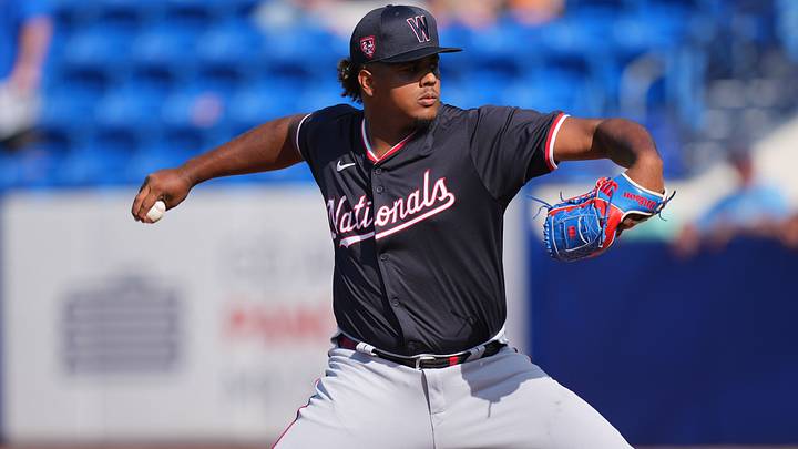 Washington Nationals prospect Jarlin Susana