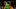 oregon ducks kelly graves katie fiso team usa ncaa tournament sabrina ionescu big ten ehis etute mallory heyer transfer wnba