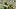 Oregon Ducks College Football Big Ten Teitum Tuioti Chris Hampton linebacker Big Ten Media Days Michigan State Spartans 