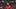 Bruno Fernandes Bruno Fernandes