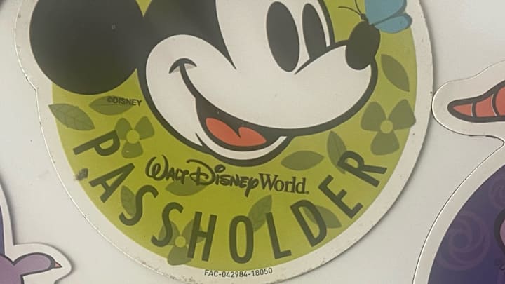 An assortment of Disney AP magnets