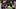 Green Bay Packers quarterback Jordan Love Green Bay Packers quarterback Jordan Love