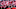 Canada Soccer Canada Soccer