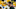 oregon ducks recruiting tae walden wide receiver cornerback chris hampton marshall malchow ross douglas rashad wadood athlete