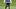 Dallas Cowboys cornerback Caleb Downs on the field during practice at the Ford Center at the Star Training Facility. Dallas Cowboys cornerback Caleb Downs on the field during practice at the Ford Center at the Star Training Facility.