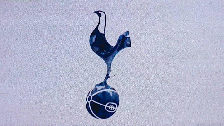 Tottenham Hotspur v Wolverhampton Wanderers - Premier League