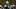 oregon ducks dan lanning dante moore quarterback preseason ranking fall camp defensive line jeremiah mcclellan anthony tank oregon ducks dan lanning dante moore quarterback preseason ranking fall camp defensive line jeremiah mcclellan anthony tank