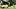 oregon ducks quarterback brock thomas dylan raiola dante moore dan lanning nebraska cornhuskers bold predictions autzen oregon ducks quarterback brock thomas dylan raiola dante moore dan lanning nebraska cornhuskers bold predictions autzen