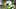 Oregon Ducks College Football Big Ten Simeon Price Jordon Davison Dierre Hill Jr. running backs Dan Lanning rushing attack 