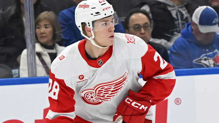 Oct 13, 2025; Toronto, Ontario, CAN; Detroit Red Wings right wing Michael Brandsegg Nygard (28) in action against theToronto Maple Leafs at Scotiabank Arena. Mandatory Credit: Gerry Angus-Imagn Images Oct 13, 2025; Toronto, Ontario, CAN; Detroit Red Wings right wing Michael Brandsegg Nygard (28) in action against theToronto Maple Leafs at Scotiabank Arena. Mandatory Credit: Gerry Angus-Imagn Images