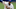 Dwight Gooden Dwight Gooden