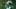 oregon ducks nfl draft malik benson kenyon sadiq dillon thieneman jadon canady bryce boettcher emmanuel pregnon whittington oregon ducks nfl draft malik benson kenyon sadiq dillon thieneman jadon canady bryce boettcher emmanuel pregnon whittington