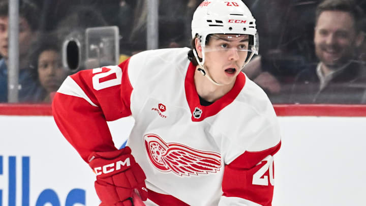 Detroit Red Wings v Montreal Canadiens
