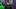 Oregon Ducks Dan Lanning Dante Moore Dakorien Moore Recruiting Rankings Recruiting Class 2027 Cycle Eugene Autzen Stadium 