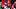 Indiana quarterback Josh Hoover Indiana quarterback Josh Hoover