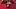 Tampa Bay Buccaneers Tampa Bay Buccaneers