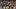 LSU RB Dillin Jones LSU RB Dillin Jones