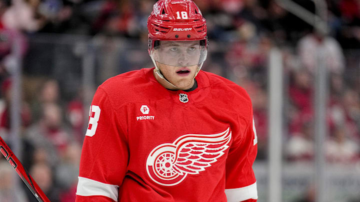 Tampa Bay Lightning v Detroit Red Wings