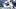 ss ss