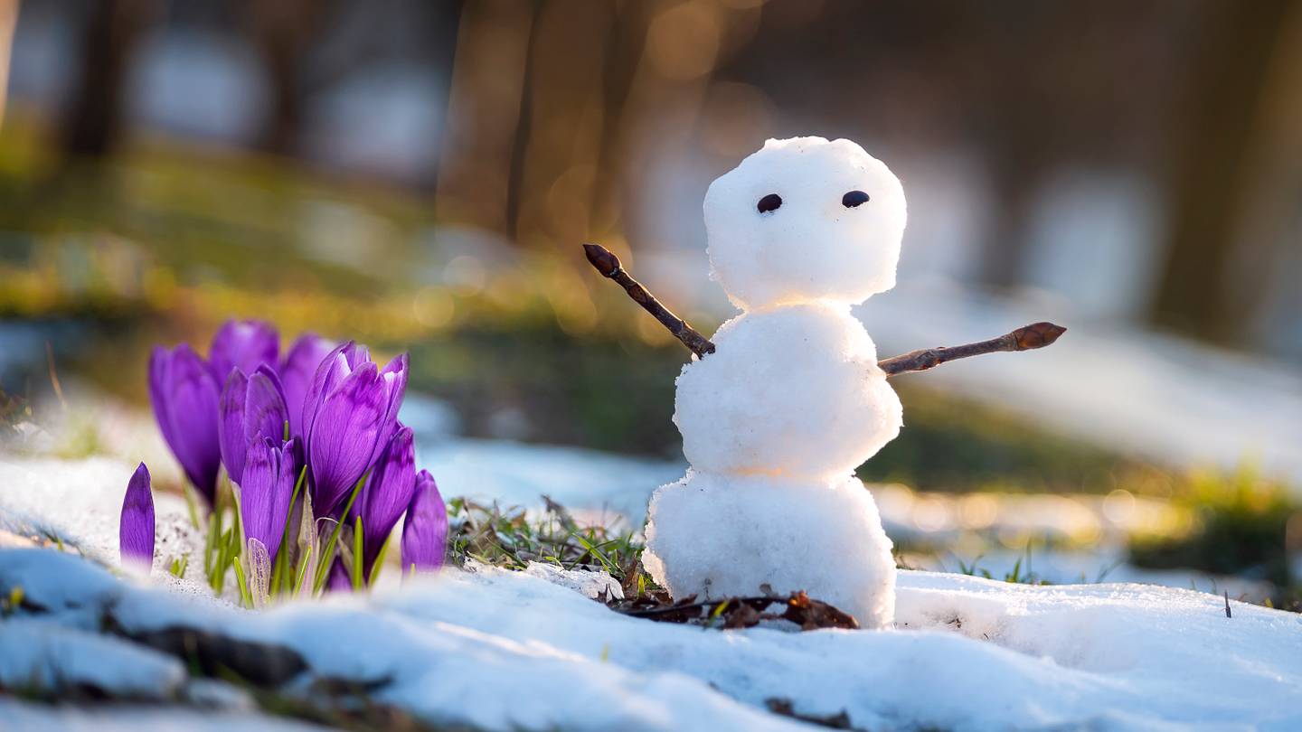 Why Everyone Is Talking About the “Fake Spring” Meme and What It Means