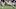 Minnesota Vikings Minnesota Vikings