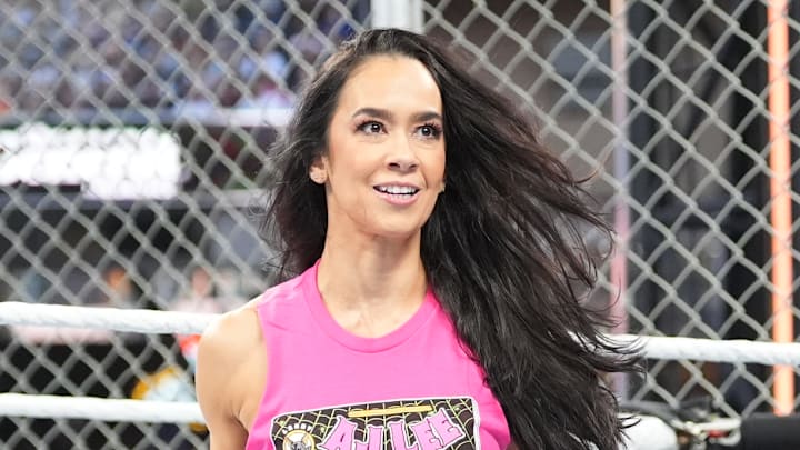 AJ Lee AJ Lee