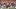 Oct 24, 2026; Austin, Texas, USA; Texas Longhorns wide receiver Cam Coleman (8) attempts to catch the ball in front of Missi Oct 24, 2026; Austin, Texas, USA; Texas Longhorns wide receiver Cam Coleman (8) attempts to catch the ball in front of Missi