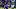Baltimore Ravens wide receiver Zay Flowers, Fantasy Football 
