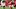 Joe Mixon in a 2024 season playoff game for the Houston Texans. Joe Mixon in a 2024 season playoff game for the Houston Texans.
