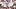 Deion Sanders Atlanta Falcons San Francisco 49ers Nike Air Diamond Turf Signature Shoe Prime Time Deion Sanders Atlanta Falcons San Francisco 49ers Nike Air Diamond Turf Signature Shoe Prime Time