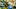 Jeremiah McClellan Oregon Ducks Jericho Washington Boise State Broncos Autzen Stadium College Football Jeremiah McClellan Oregon Ducks Jericho Washington Boise State Broncos Autzen Stadium College Football