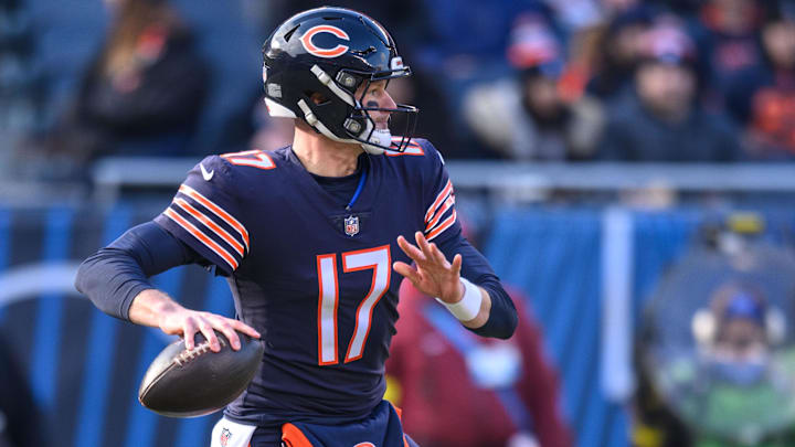 Former Chicago Bears quarterback Tim Boyle (17) looks to pass during the second quarter against the Minnesota Vikings at Soldier Field. 