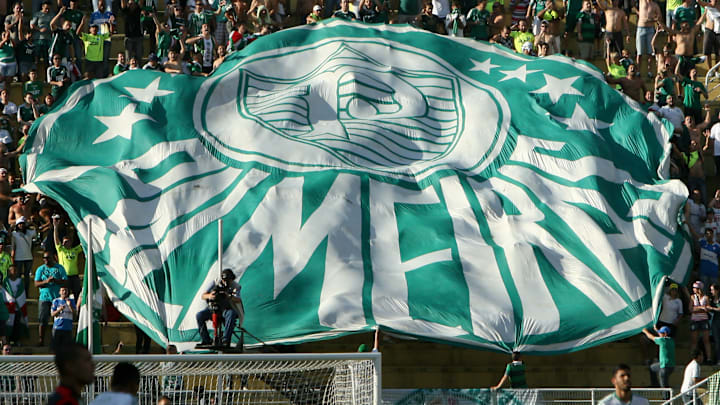 Endrick currently plies his trade for Palmeiras