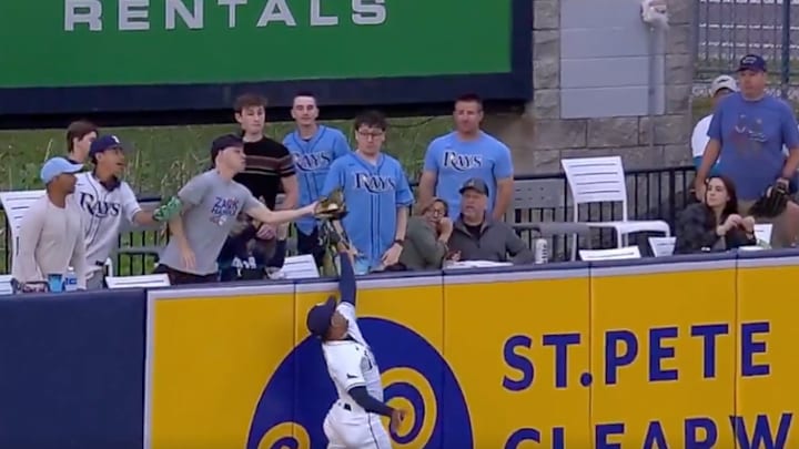 Zack Hample catches a home run ball at the wall during game between the Los Angeles Angels and Tampa Bay Rays.