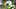 Oregon Ducks Colorado Buffaloes Big Ten College Football Bob Chesney UCLA Bruins USC Trojans Simeon Price running game Oregon Ducks Colorado Buffaloes Big Ten College Football Bob Chesney UCLA Bruins USC Trojans Simeon Price running game