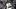 New York Yankees outfielder Trent Grisham New York Yankees outfielder Trent Grisham