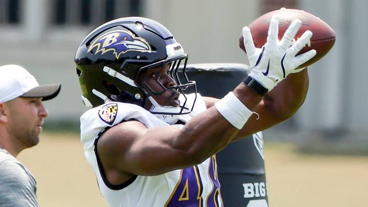 Baltimore Ravens linebacker Chandler Martin