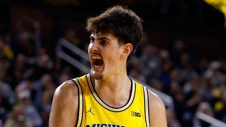 Dec 29, 2025; Ann Arbor, Michigan, USA;  Michigan Wolverines center Aday Mara (15) reacts in the second half against the McNeese Cowboys at Crisler Center. Mandatory Credit: Rick Osentoski-Imagn Images