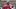 Dallas Cowboys quarterback Dak Prescott. Dallas Cowboys quarterback Dak Prescott.