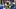 New Orleans Saints wide receiver Devaughn Vele, Fantasy Football New Orleans Saints wide receiver Devaughn Vele, Fantasy Football