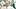 Michigan State's Tom Izzo looks on during a game against Rutgers Michigan State's Tom Izzo looks on during a game against Rutgers