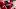 Arkansas Razorbacks linebacker Ja'Quavion Smith during offseason conditioning drills Arkansas Razorbacks linebacker Ja'Quavion Smith during offseason conditioning drills